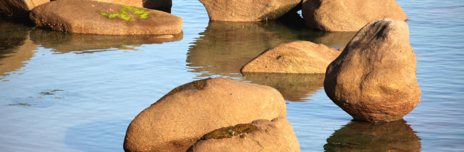 Côte de granite rose